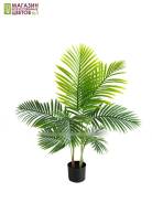 ������ �������������. ����