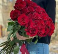 ����. ����