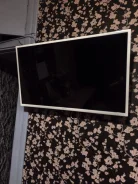 Kivi ����