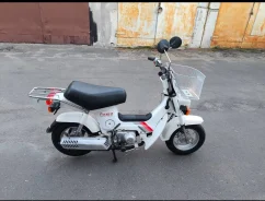 Honda Chaly. 49����. ��., ��������, ��� ���, ������ �� �� ����