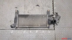 �������� ����������� Nissan Pathfinder 2004-2014 20791678 14461EB360 ����