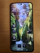 Huawei P50. �/�, �������, Dual-SIM ����