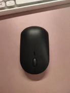 ���� ������������. ����