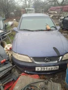 Opel Vectra ����