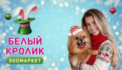 ��������-������. �� ��������� �.�. ����� ���� �������� 15 ����