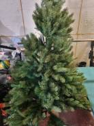 ���� �������������. ����