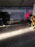 ����� �����������. . ��� ������ ����