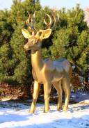 ������� ����� �� �������������� ����