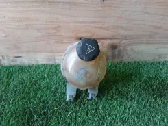 ����� �������������� Citroen C3 2013 9800777280 A51 1.6 9800777280 ����
