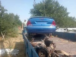 Ford Focus ����