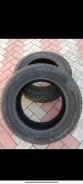 Continental Contact. ������, ����������, 2022 ���, �/�, ����� 15 % ����