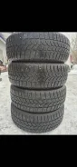 Tigar Winter. ������, ����������, 2020 ���, �/�, ����� 20 % ����