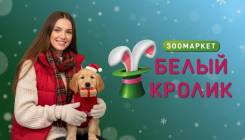 ��������-������. �� ��������� �.�. ����� ������ 9/1 ����