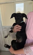������. ����