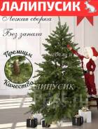 ���� �������������. ��� ����� �� ������������ ����