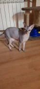 ������. ����