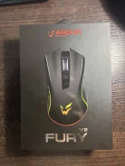 ���� �������. ����