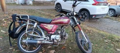 Regulmoto Alpha RM-1. 110����. ��., ��������, ��� ���, ������ �� �� ����
