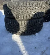 Nordman 7. ������, ����������, �/�, ����� 40 % ����