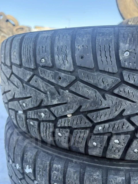 Nordman 7. ������, ����������, �/�, ����� 40 % ����