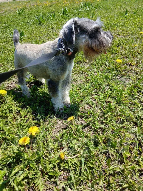 ������. ����