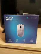 ���� �������. ����