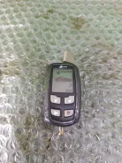 ������ ������������ Alligator ����