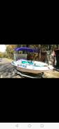 Bayliner. 1998 ���, ����� 4,2��., ��������� ������������, 125��.�., ������ ����