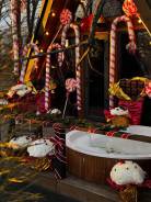 ���������� ���������� Ozark (��� � �������, � ����, ���� ������, ������) ����