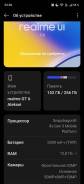 Realme GT 6T. �/�, 256 ��, ���������, Dual-SIM ����