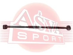 ���� �������� ���������� | ��� ���� | Asva 0125SVX10R 0125SVX10R ����