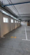 ����� �����������. ����