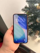 Apple iPhone 13. �/�, 256 ��, �������, 3G, 4G LTE ����