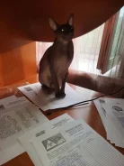 ������. ����