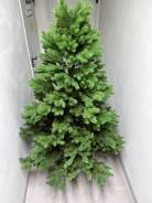 ���� �������������. ����