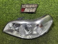 ���� Chevrolet Tosca 00019008 V250, �������� ����� 00019008 ����