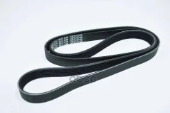������ ������������ Dayco Dayco ���. 6PK1730 6PK1730 ����