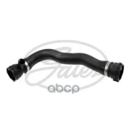 �������� ������� ���������� BMW: 5/6/7, 545 i/645 Ci/735 i, Li/740 i, Li/745 i, Li/750 i, Li, 01-10 17127508011 Gates ���. 05-2854 052854 ����