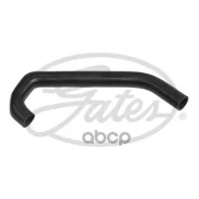 ��������� �������� Gates ���. 053317 053317 ����