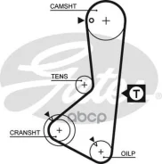 ������ ��� Gates /859715075/ Gates ���. 5075XS 5075XS ����