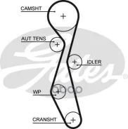 �������� ������ ������� ��� Gates ���. 5633XS 5633XS ����
