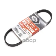 ������ ������������ Gates ���. 5PK628620SF 5PK628620SF ����