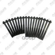 ����� � ����� /TI-GUAR ��� Toyota /Carina Corolla Camry Picnic Liteace Town Ace 1983- /1.8D-2.2D 1-3C; ������ M11/ ��� ������ 1,25 /����� 123��. ; TG...