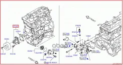 ����� ������� Nissan ���. B1010ED00A B1010ED00A ����