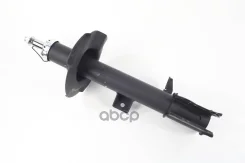 ����������� �������� ZF Russia ���. 317102ZFR 317102ZFR ����