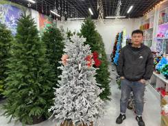 ���� �������������. ����