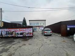 ���� �������������. ����