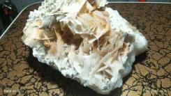 ����� �����������, ���������������. ����