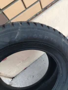 Nordman 8. ������, ����������, 2021 ���, �/�, ����� 30 % ����