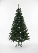 ���� �������������. ����